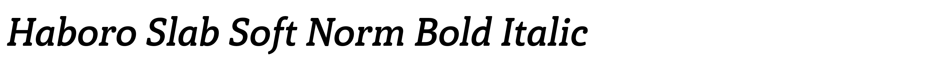 Haboro Slab Soft Norm Bold Italic
